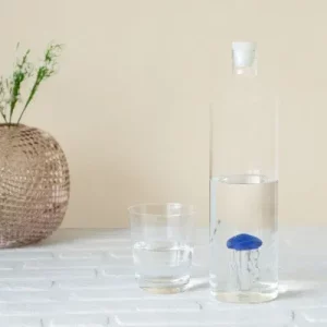 Bouteille en verre - Medusa