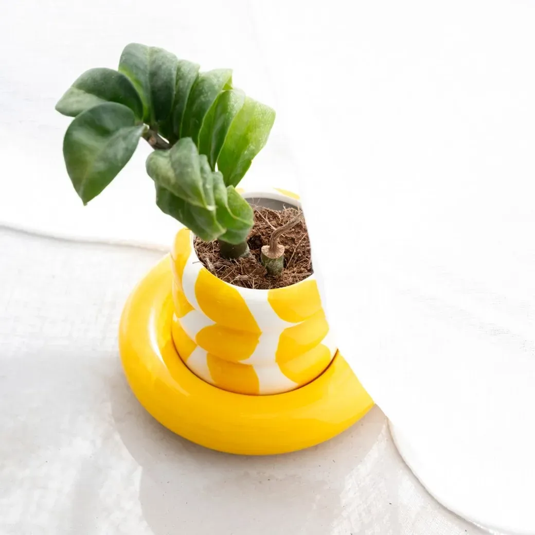 Mug avec sous-tasse Casimiro - Wavy Rumba