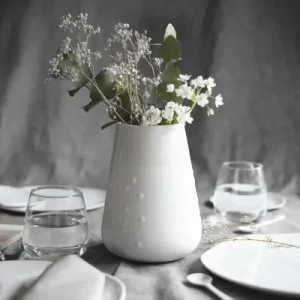 Vase Plante